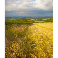 Buy canvas prints of Warwickshire by Andrew Roland