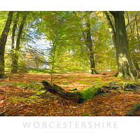 Buy canvas prints of Worcestershire by Andrew Roland