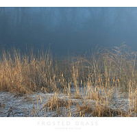 Buy canvas prints of Frosted Grass by Andrew Roland