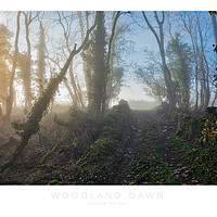 Buy canvas prints of Woodland Dawn by Andrew Roland