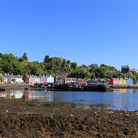Buy canvas prints of Tobermory by James Marsden
