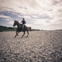 Buy canvas prints of Horse riding by Chiara Cattaruzzi
