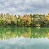 Buy canvas prints of  Trees and reflections by Chiara Cattaruzzi