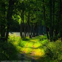 Buy canvas prints of Old tree-lined path by Kathleen Smith (kbhsphoto)
