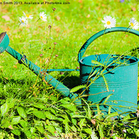 Buy canvas prints of Green watering can and daisies by Kathleen Smith (kbhsphoto)