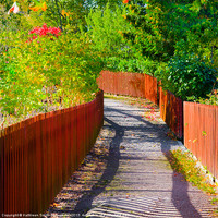 Buy canvas prints of Red picket fences by Kathleen Smith (kbhsphoto)