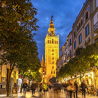 Buy canvas prints of Seville Cathedral by peter schickert