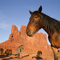 Buy canvas prints of Indian Horses at Monument Valley by peter schickert
