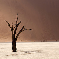 Buy canvas prints of Deadvlei Namibia by peter schickert