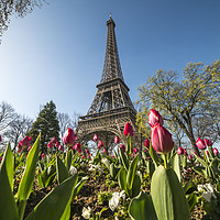 Buy canvas prints of Spring in Paris by peter schickert