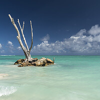 Buy canvas prints of Punta Cana,  Dominican Republic by peter schickert