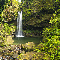 Buy canvas prints of Wasserfall, Dominica, Caribbean  by peter schickert