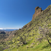 Buy canvas prints of Gran Canaria, Canary Islands by peter schickert