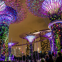 Buy canvas prints of  Super Trees Singapore,  by peter schickert