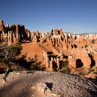 Buy canvas prints of Bryce Canyon by peter schickert