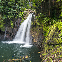 Buy canvas prints of Waterfall Guadeloupe by peter schickert