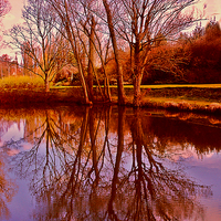 Buy canvas prints of  Anglesey Reflections by Nick Wardekker