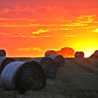 Buy canvas prints of Sunset in Rural Louth by Nick Wardekker