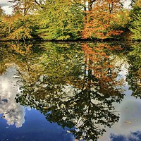 Buy canvas prints of  Autumn Reflections  by Nick Wardekker
