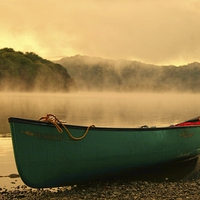 Buy canvas prints of Dawn mist at sunrise by Nick Wardekker