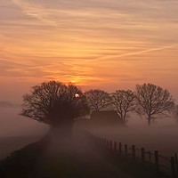 Buy canvas prints of Morning Mist  by Nick Wardekker