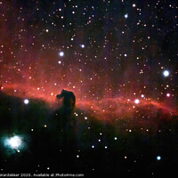 Buy canvas prints of The Horse Head Nebula by Nick Wardekker