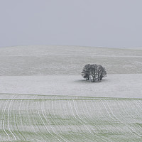 Buy canvas prints of South Downs, Sussex, Snow by Sue MacCallum- Stewart