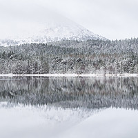 Buy canvas prints of Reflecting in the Cairngorms by Sue MacCallum- Stewart