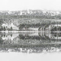 Buy canvas prints of Winter Reflection by Sue MacCallum- Stewart