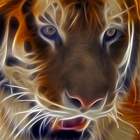 Buy canvas prints of Electric Tiger by Susan Candelario