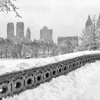 Buy canvas prints of Snow In Central Park NYC by Susan Candelario