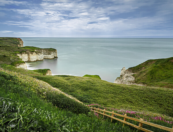Flamborough Head Cliffs East Yorkshire Picture Board by Jonathan Thirkell
