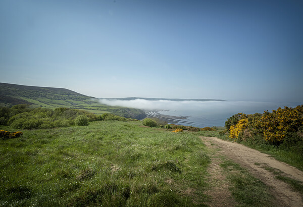 Sea Fret At Ravenscar North Yorkshire Picture Board by Jonathan Thirkell