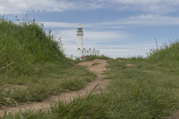 Flamborough Head Lighthouse path Picture Board by Jonathan Thirkell