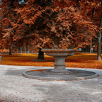 Buy canvas prints of Autumn Park by Jonathan Thirkell