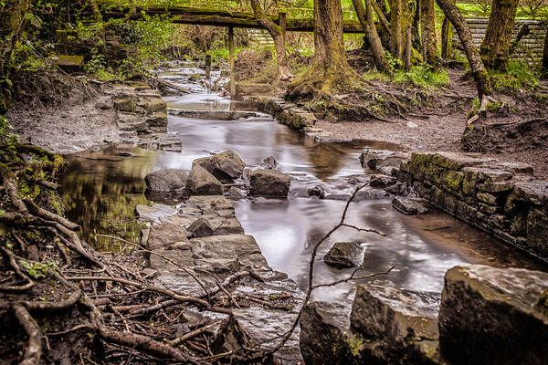 Dow Lane Stream Picture Board by Jonathan Thirkell