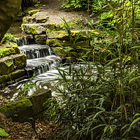 Buy canvas prints of Downstairs stream by Jonathan Thirkell