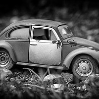 Buy canvas prints of Mono Bug by Jonathan Thirkell