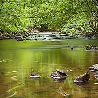 Buy canvas prints of Down by the river. by Jonathan Thirkell
