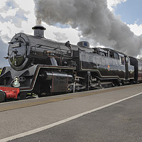 Buy canvas prints of steam Train at Burrs Country Park, Bury by Jonathan Thirkell