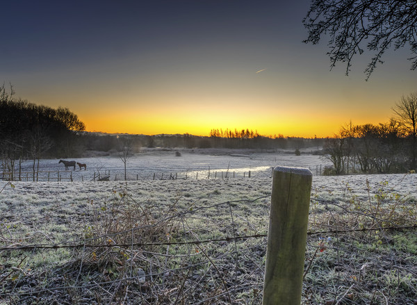 A cold start to the day. Picture Board by Jonathan Thirkell