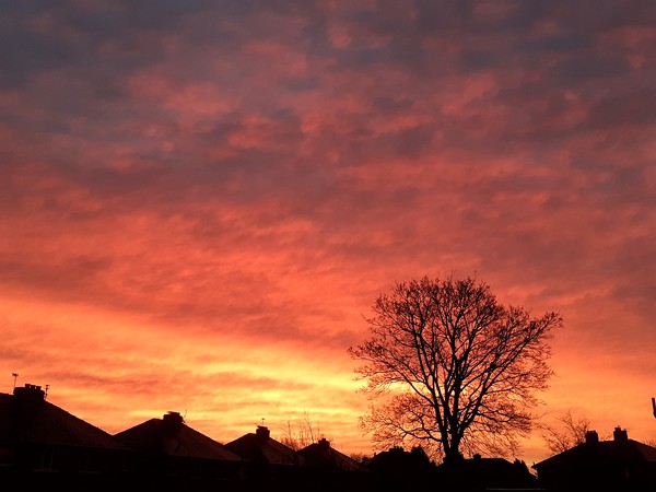 Red sky morning  Picture Board by Jonathan Thirkell