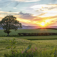 Buy canvas prints of Lone Tree Sunset by Jonathan Thirkell