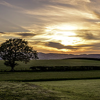 Buy canvas prints of Welsh sunset and lone tree by Jonathan Thirkell