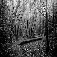 Buy canvas prints of Moses Gate Foggy Walk Monochrome Moses Gate Bolton by Jonathan Thirkell