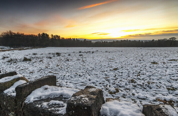 Snowy sunset of Tockholes, Darwen, Lancashire Picture Board by Jonathan Thirkell