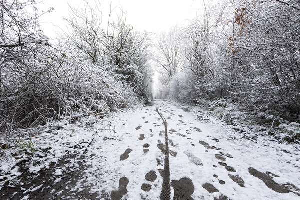 Snow path a Elton Reservoir Bury Picture Board by Jonathan Thirkell