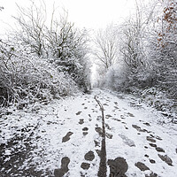 Buy canvas prints of Snow path a Elton Reservoir Bury by Jonathan Thirkell