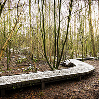 Buy canvas prints of Snow on boardwalk Moses Gate Country Park Bolton by Jonathan Thirkell