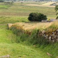 Buy canvas prints of Hadrains Wall by Rebecca Giles